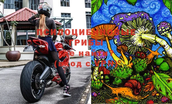 молекула духа Армянск