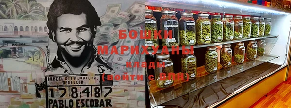 трава Арсеньев