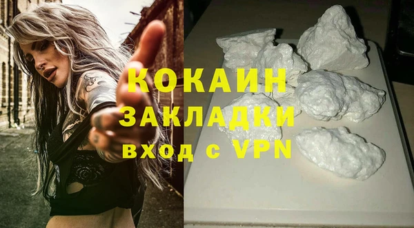 трава Арсеньев